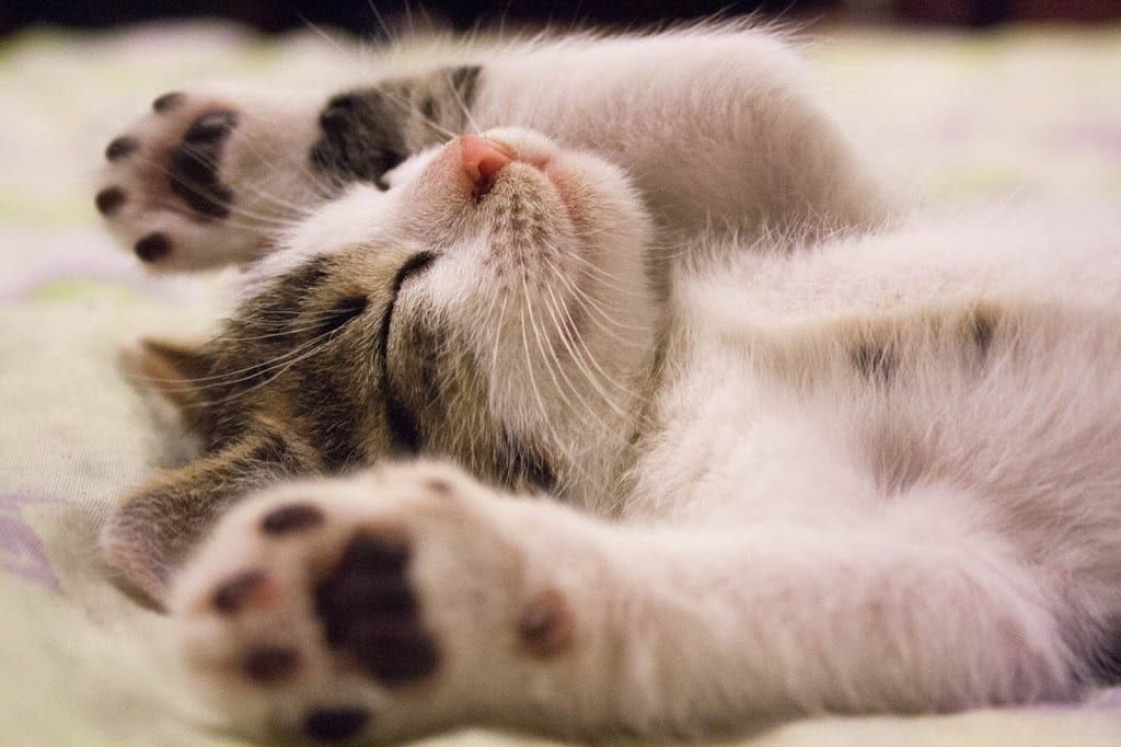 10 tips for a healthy sleep