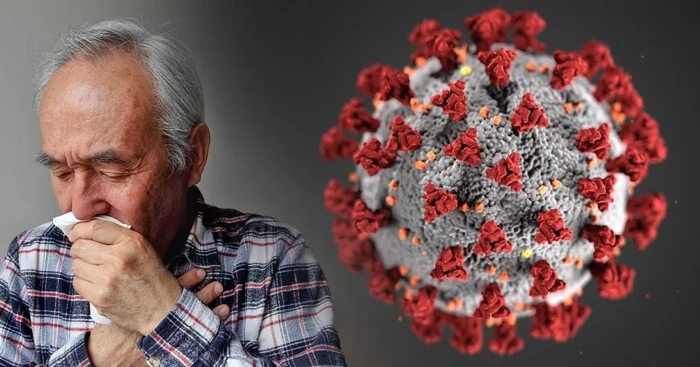 corona viruses corona_virus_family
